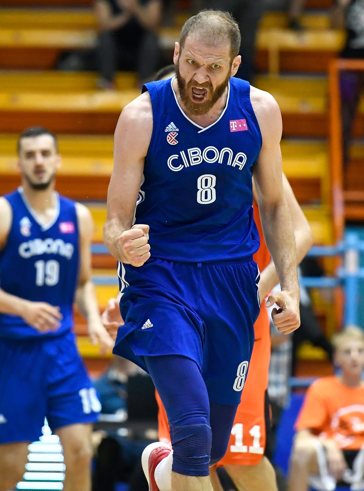 Slika