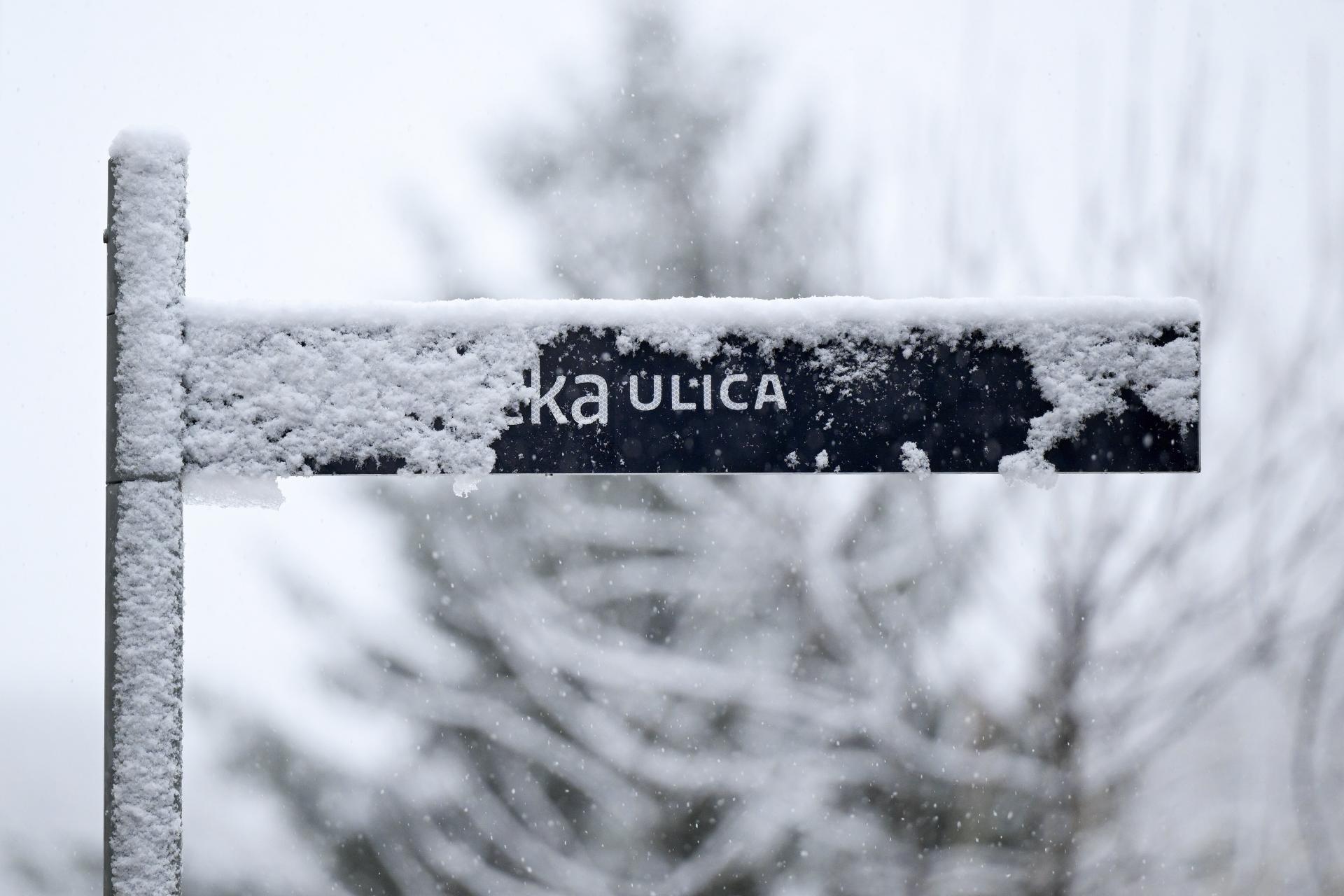 Slika