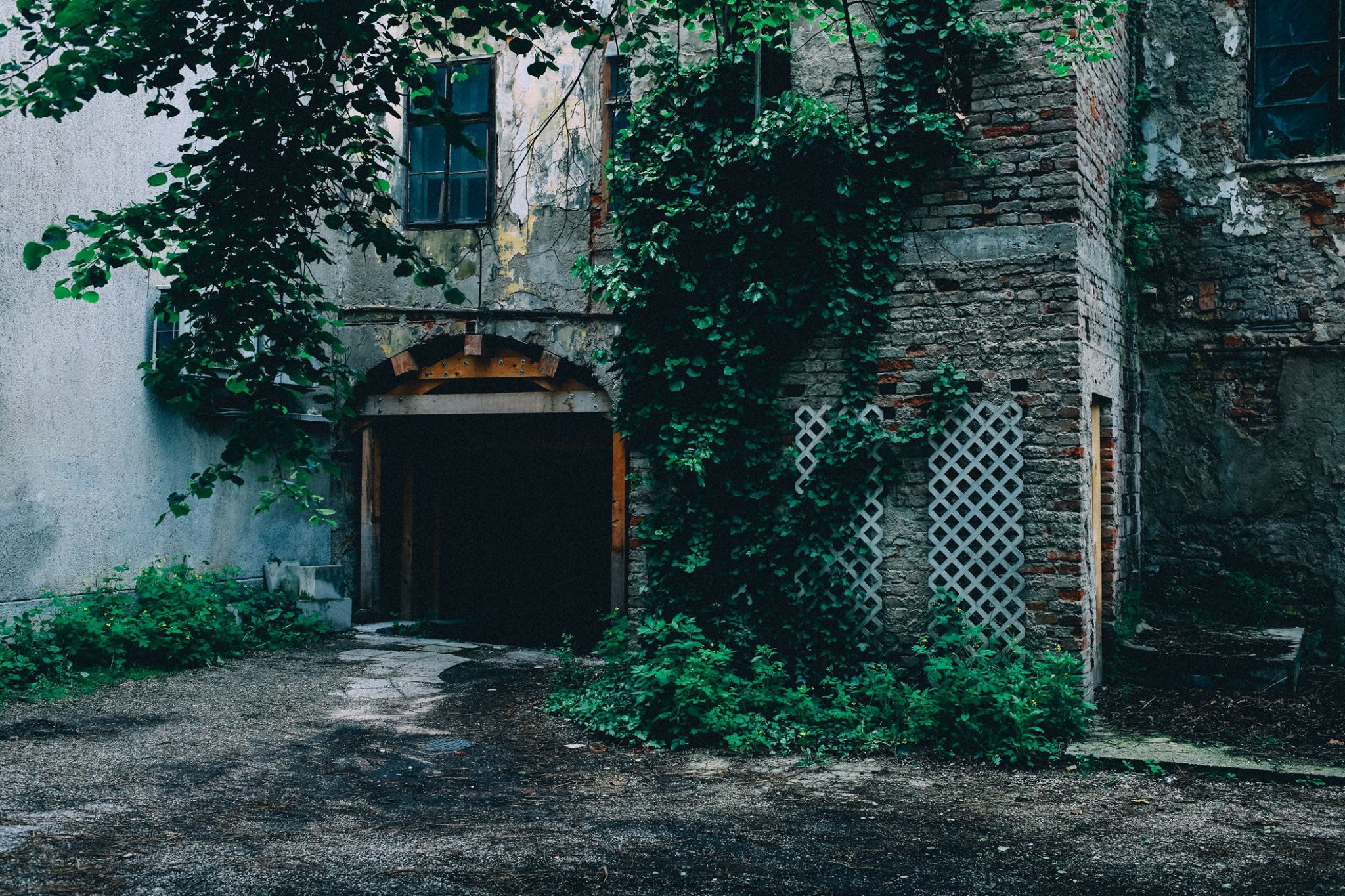 13217101_1723705604535378_4380236076104893610_o