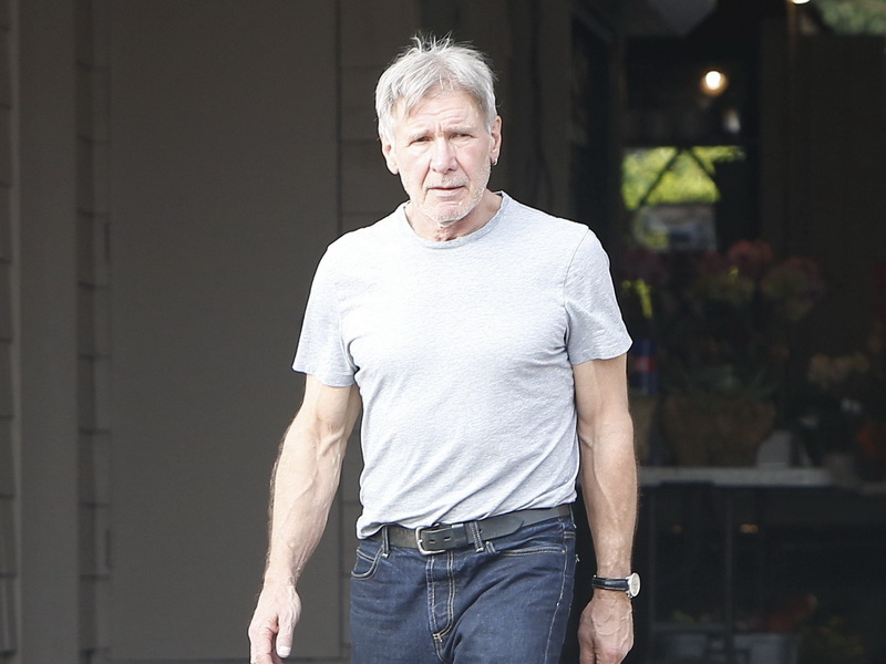 harrison-ford-handling-his-own-errands.bin