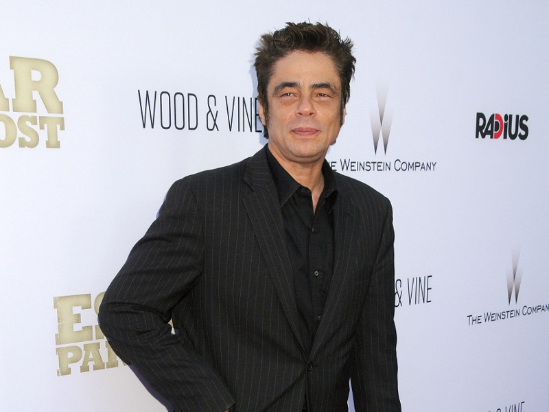 benicio-del-toro_00_1.bin