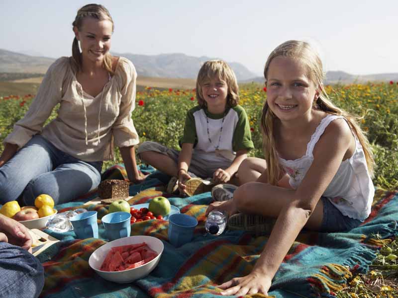 Family having picnic, mother and children (9-11) smiling, portrait
