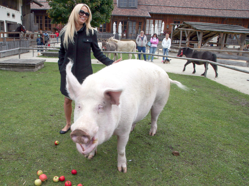 pamela_anderson_00-6.bin