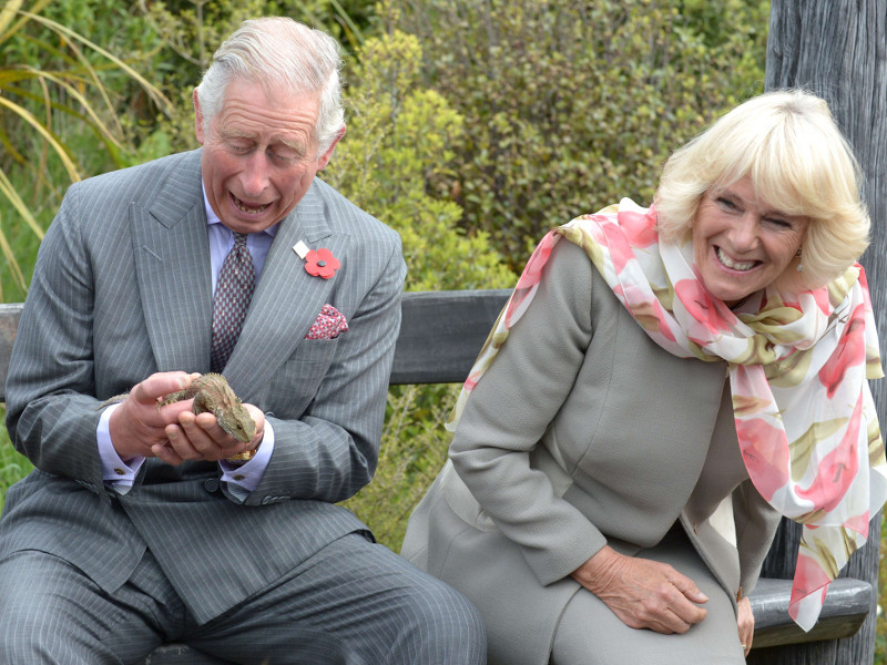 princ_charles-i-vojvotkinja-camilla_00.bin