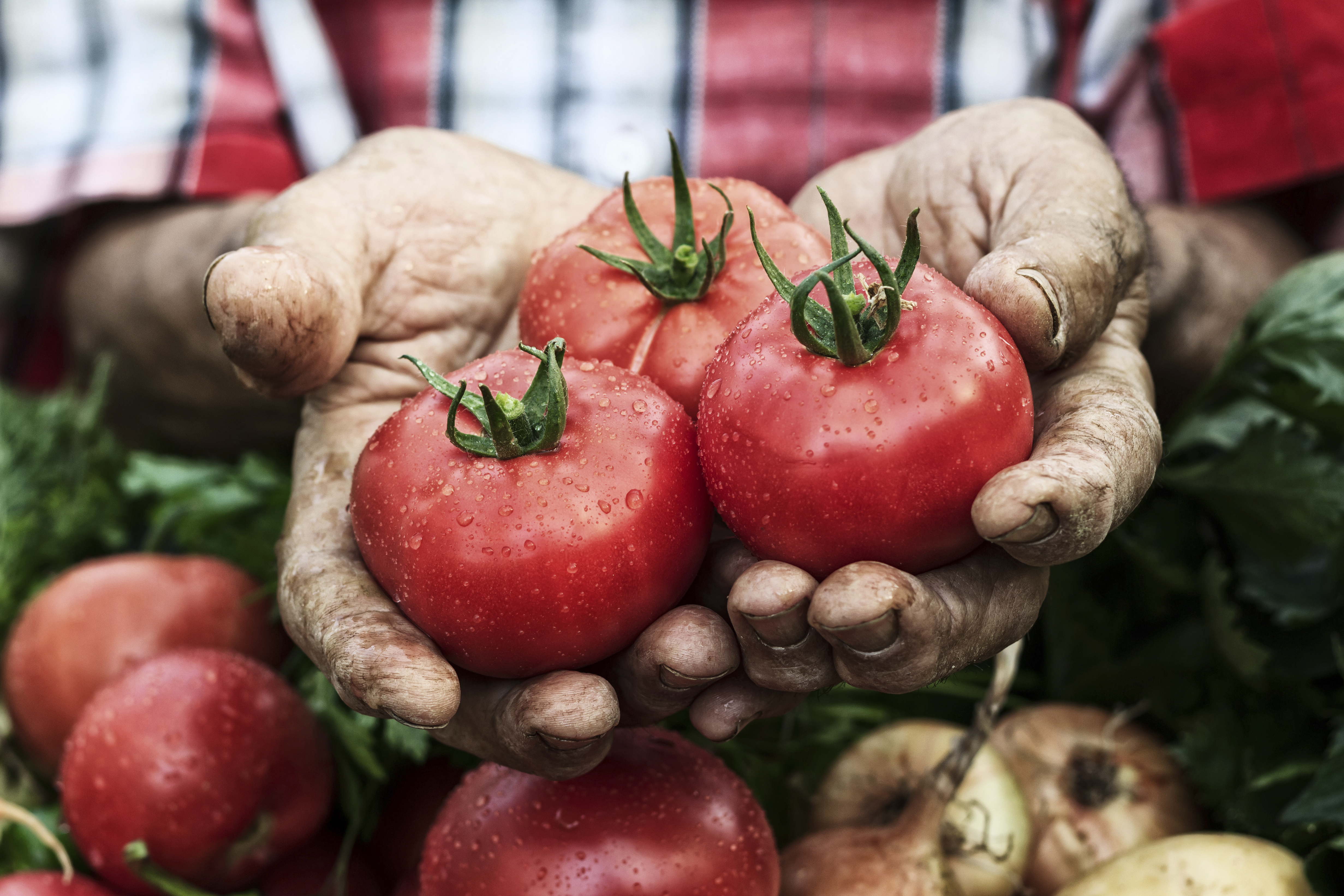 iStock_89181723_XXLARGE