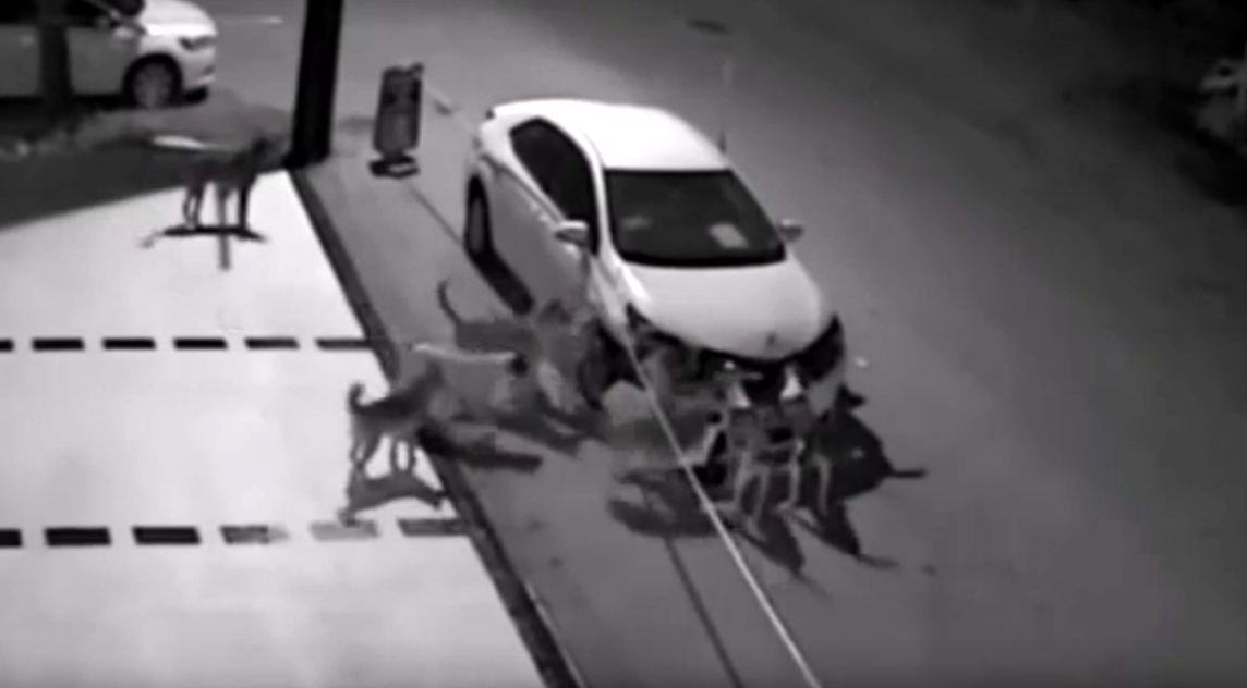 Screen shot 2016-10-14 at 11.26.16 AM