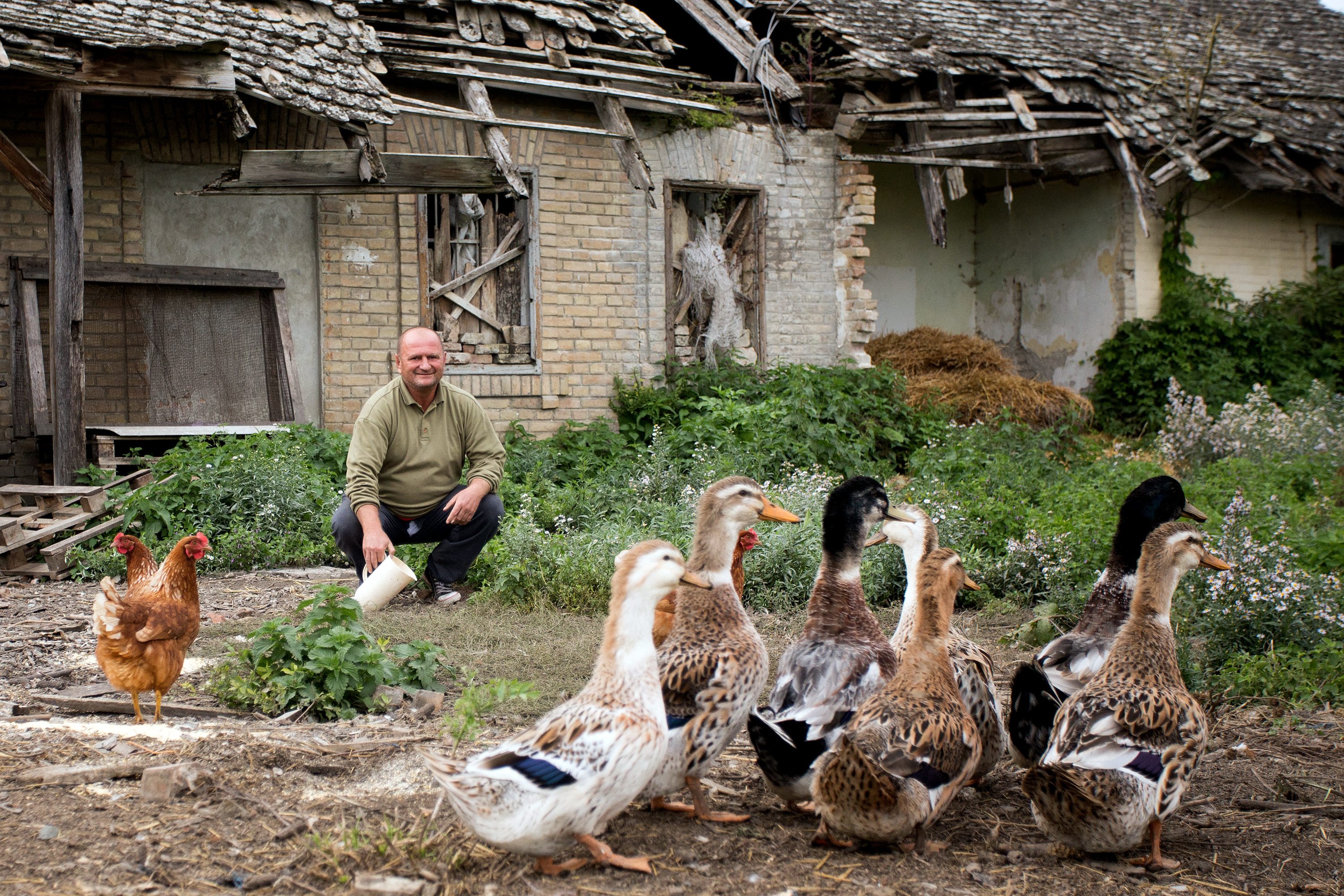 baranja_pustare18-051016