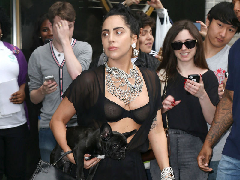 lady_gaga_800-13.bin