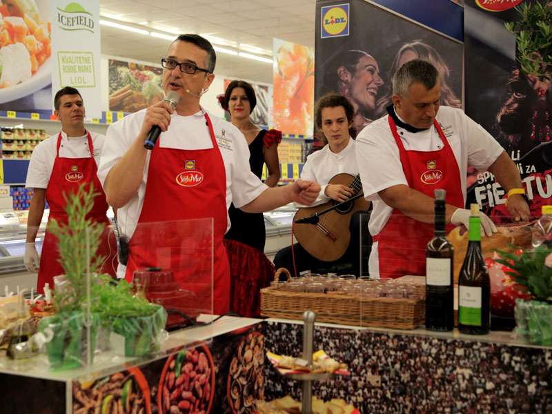 lidlova-solmar-fiesta800.bin