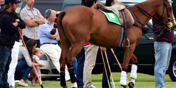 vojvotkinja_catherine_i_princ_george_6004.bin