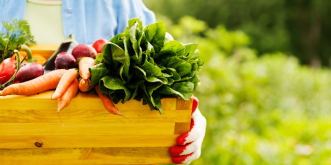 hrana_koja_652_728192s1-2.bin