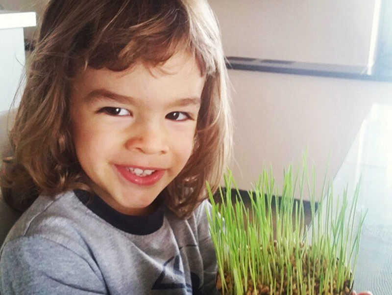 severina_sin_800.bin