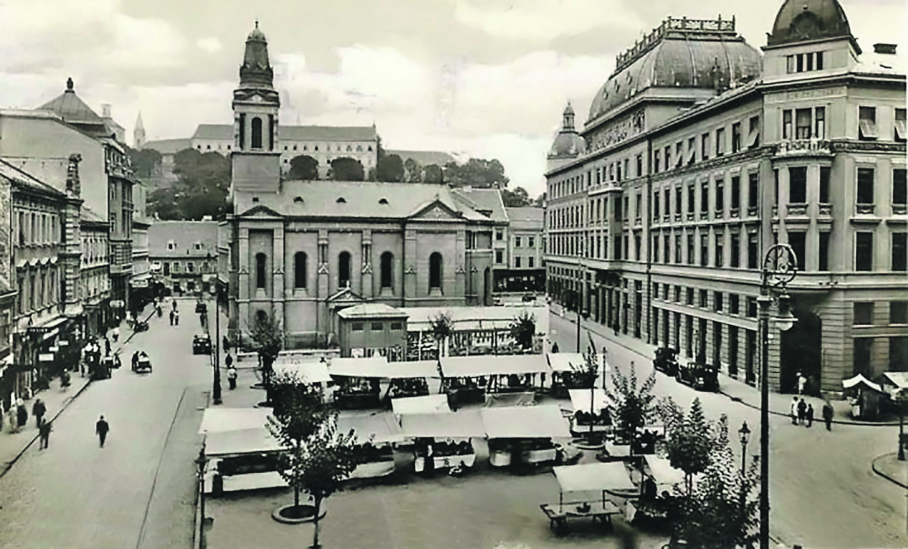 85767-112377-21_cvjetni