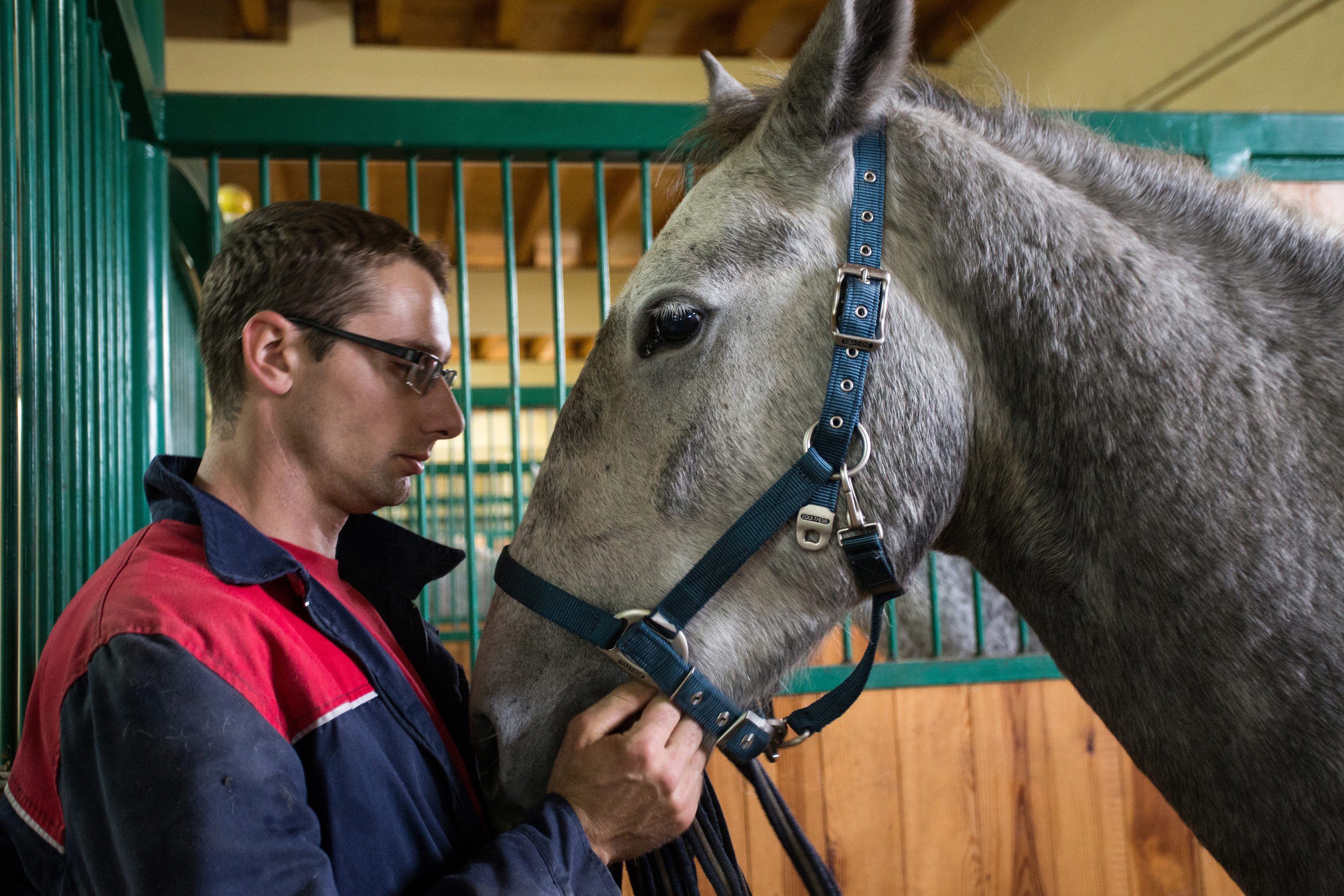 aukcija_konja34-221016