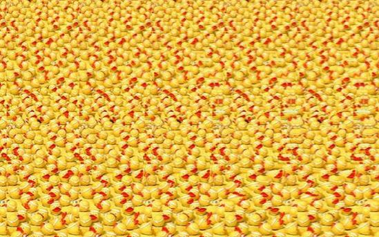 autostereogram patkice