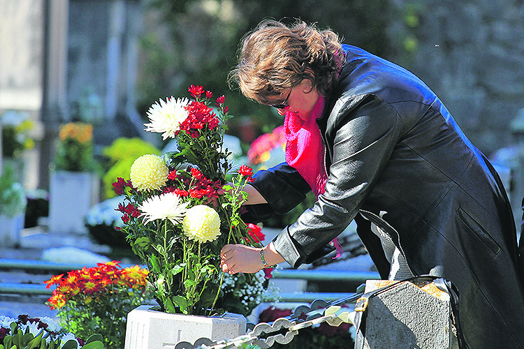 87540-114243-boninovo-311014