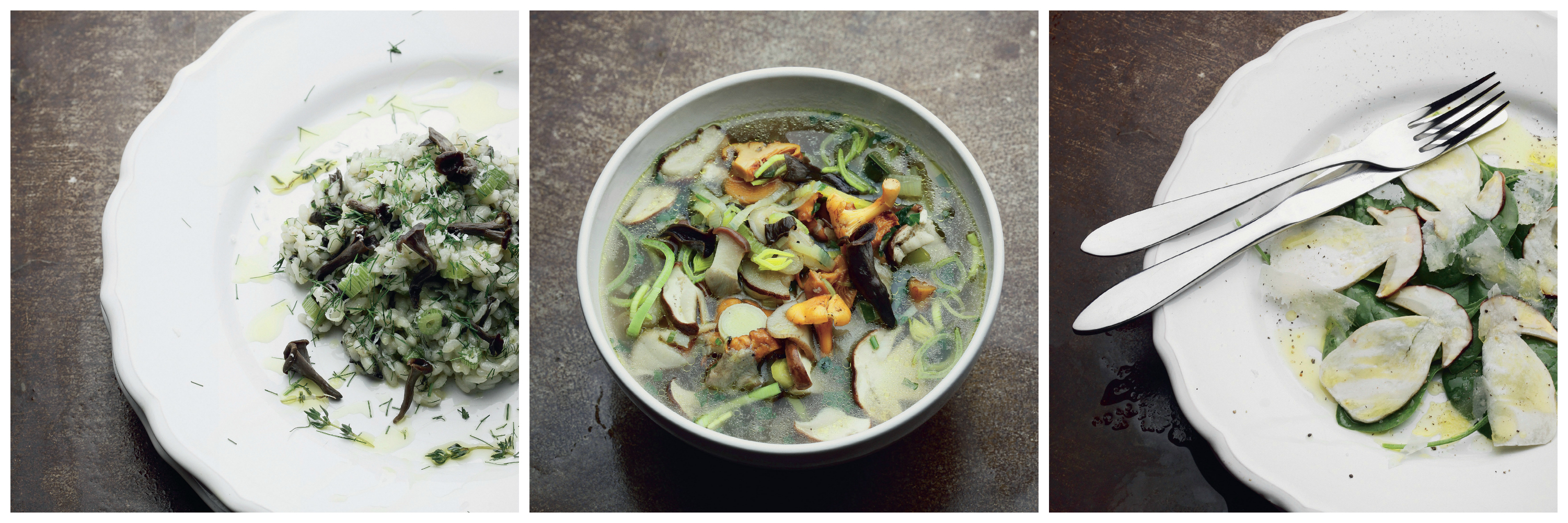 PicMonkey Collage gljive