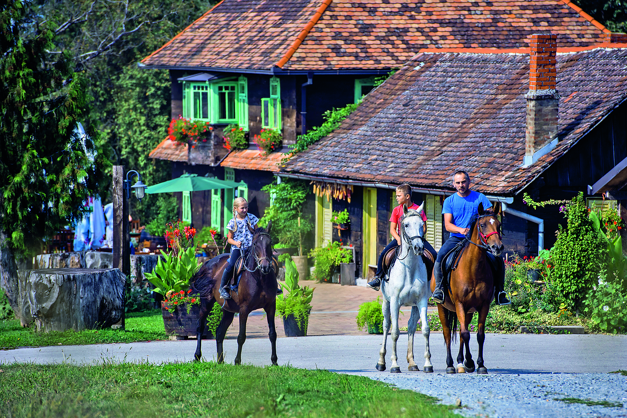 august-popovaca1-140916