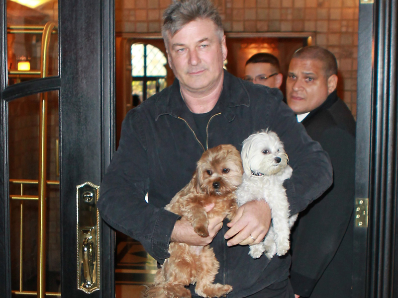 alec_baldwin_800-4.bin