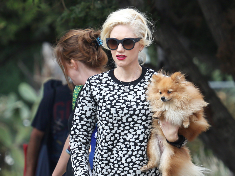 gwen_stefani_00-3.bin