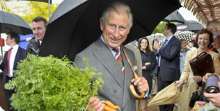 charles_090910_316.bin