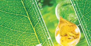 retinol_280410_316.bin