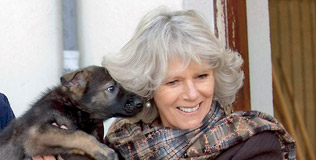 cornwall_v_060209_316.bin