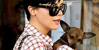 peseki_011009_316.bin