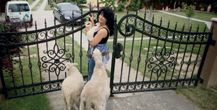 pevec_visnja_300508_316.bin