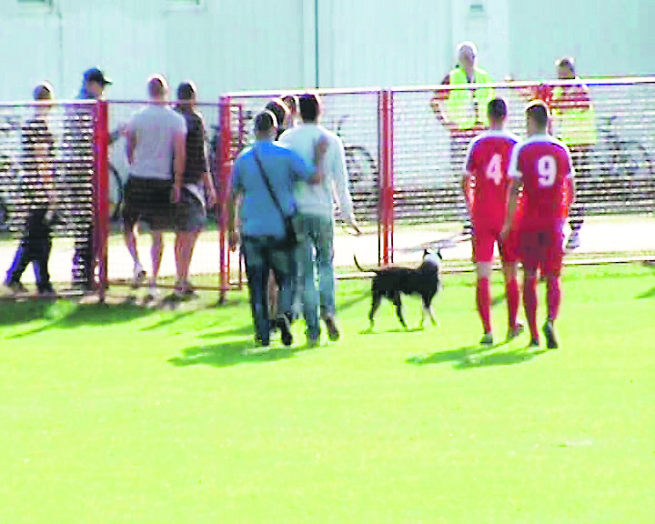 195691-88521-spansko_Ometanje_utakmice23_copy