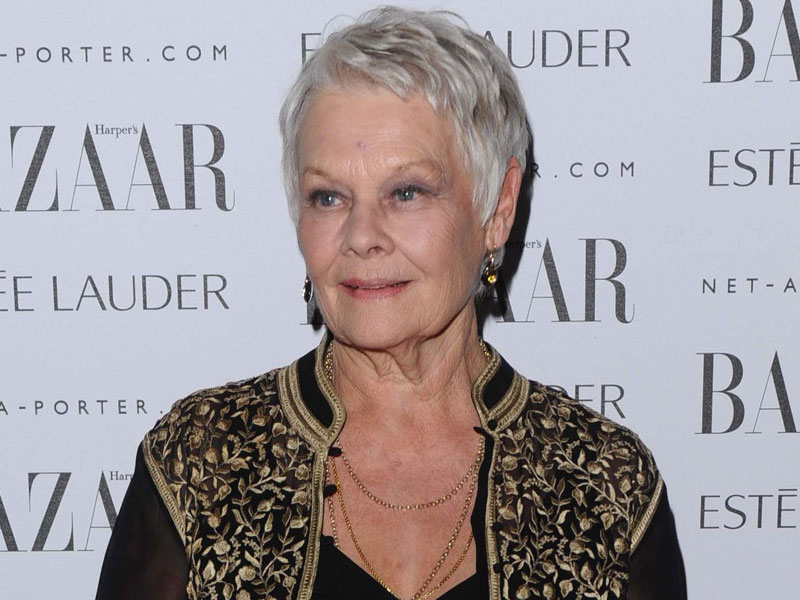 dench_judi_161111_800.bin