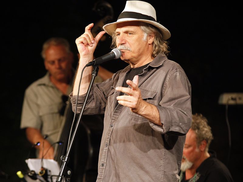 koncert-rade-serbedzije-160711-2.bin