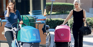 peet_stefani_bugaboo_030311_316.bin