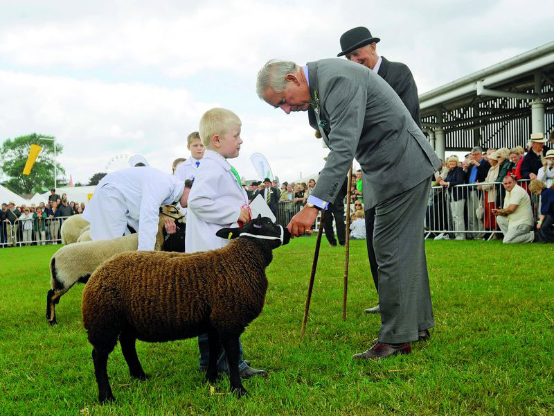 princ_charles_250711_800.bin