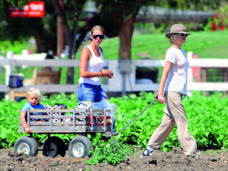 stefani_gwen_220711_800.bin