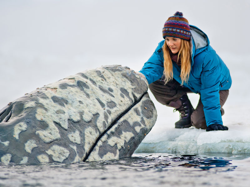 barrymore_drew_020212_800.bin