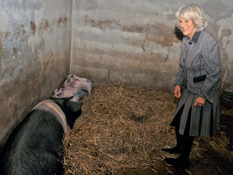 camilla_140412_800.bin