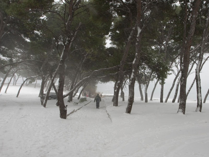 snijeg_070212_2_800.bin