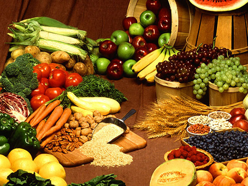 hrana_100113_800.bin