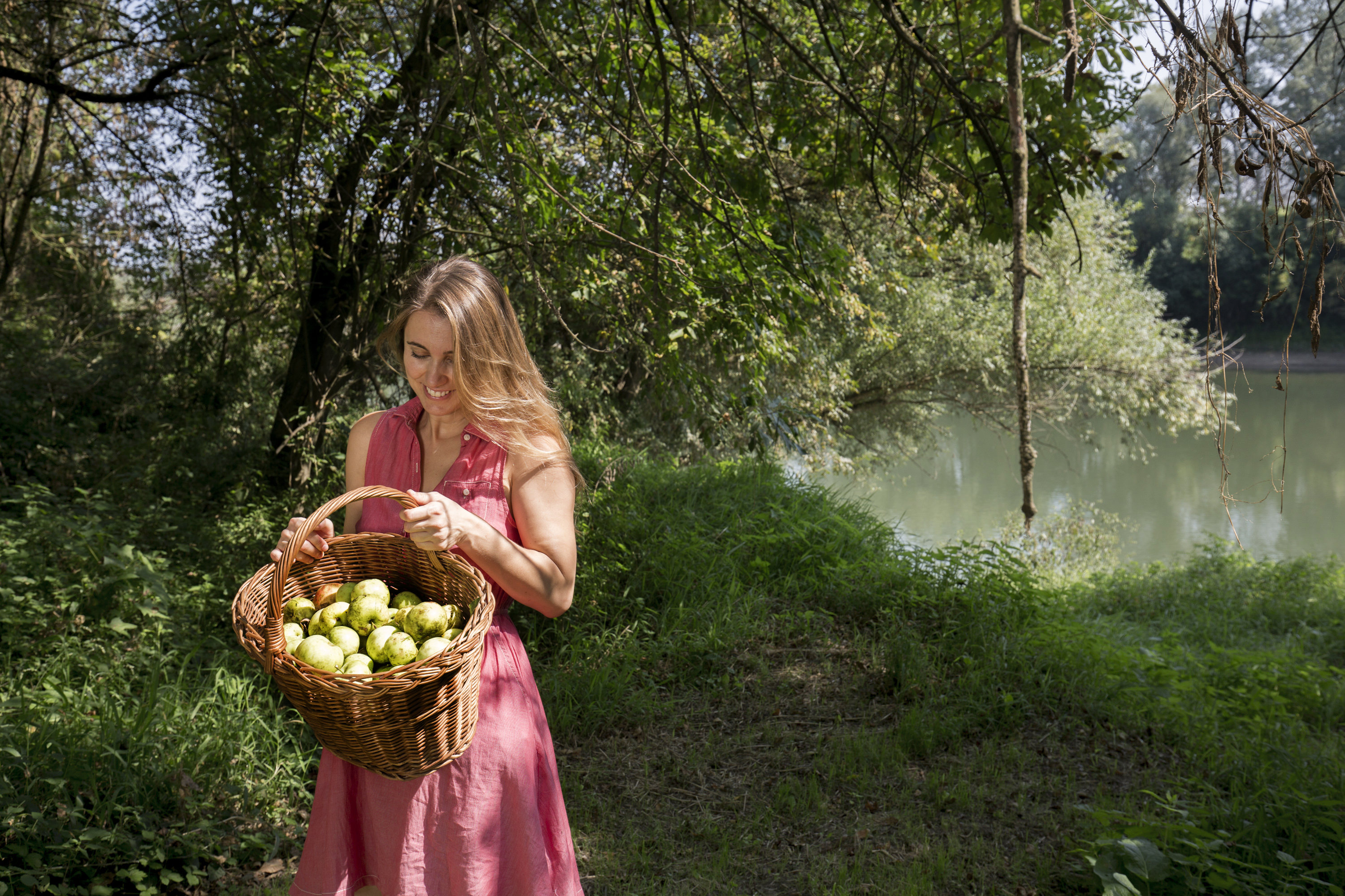 jabuke_berba13-120916