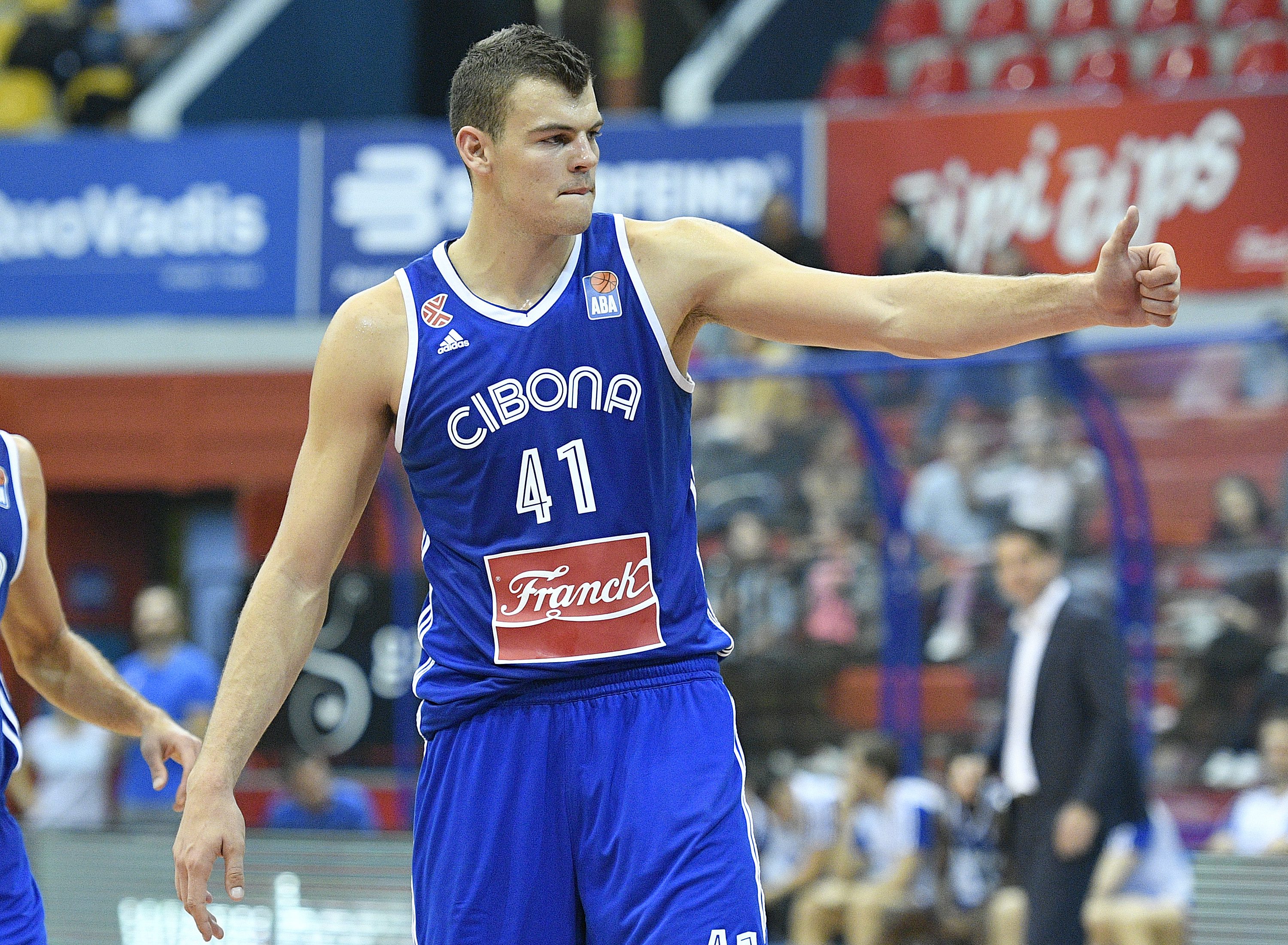 Ante Žižić Cibona