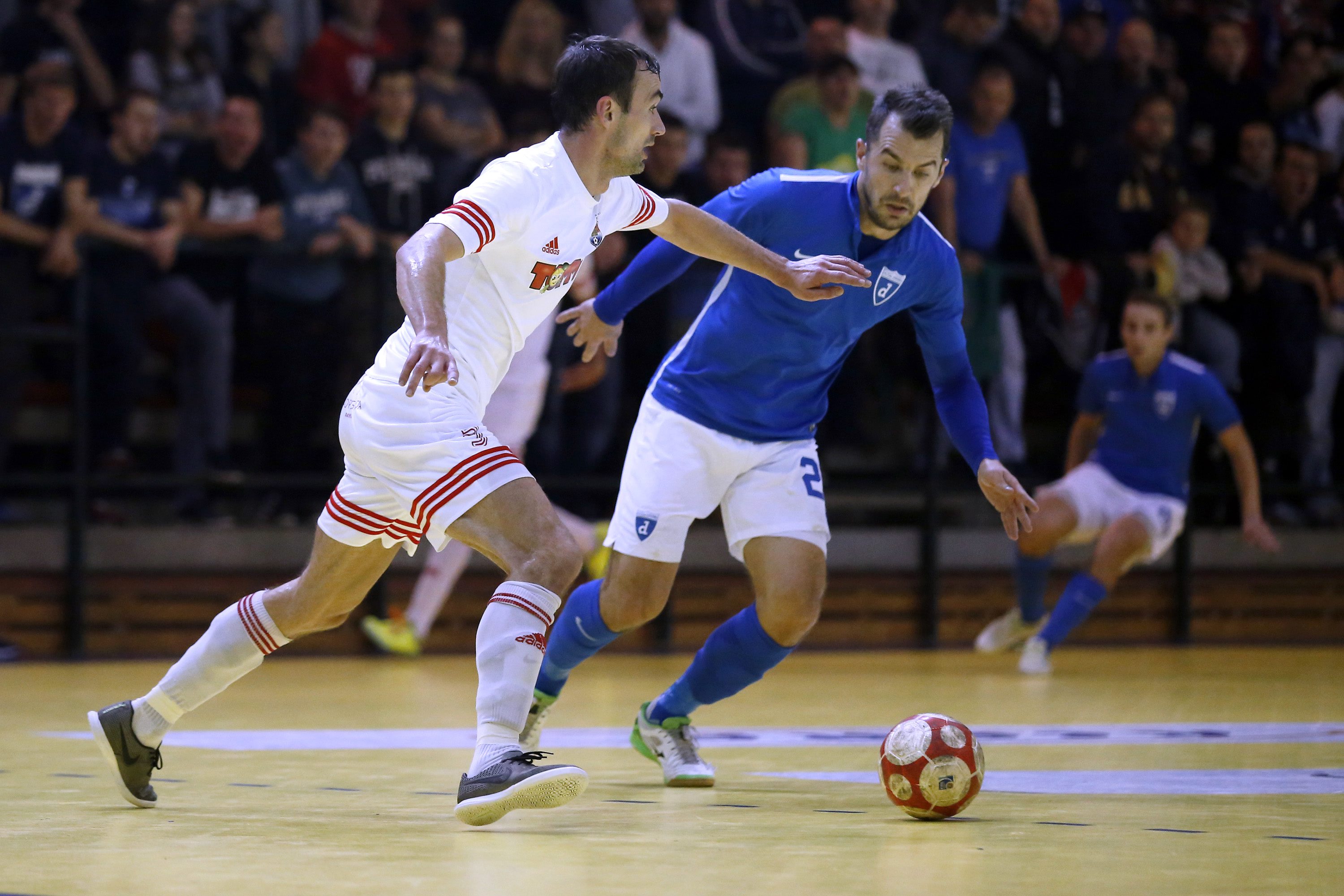 dinamo_split7-201116