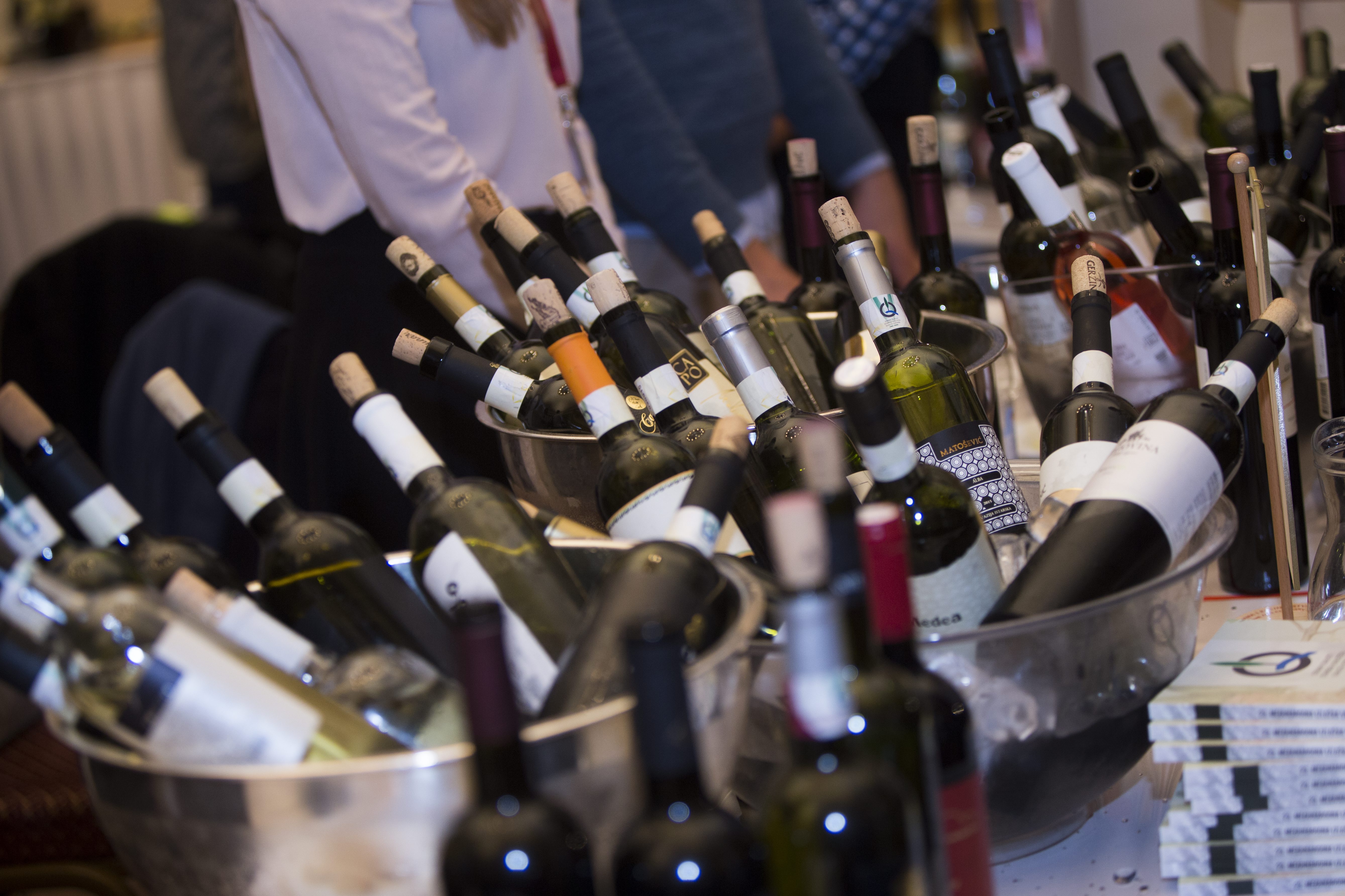 vinski_festival-261116