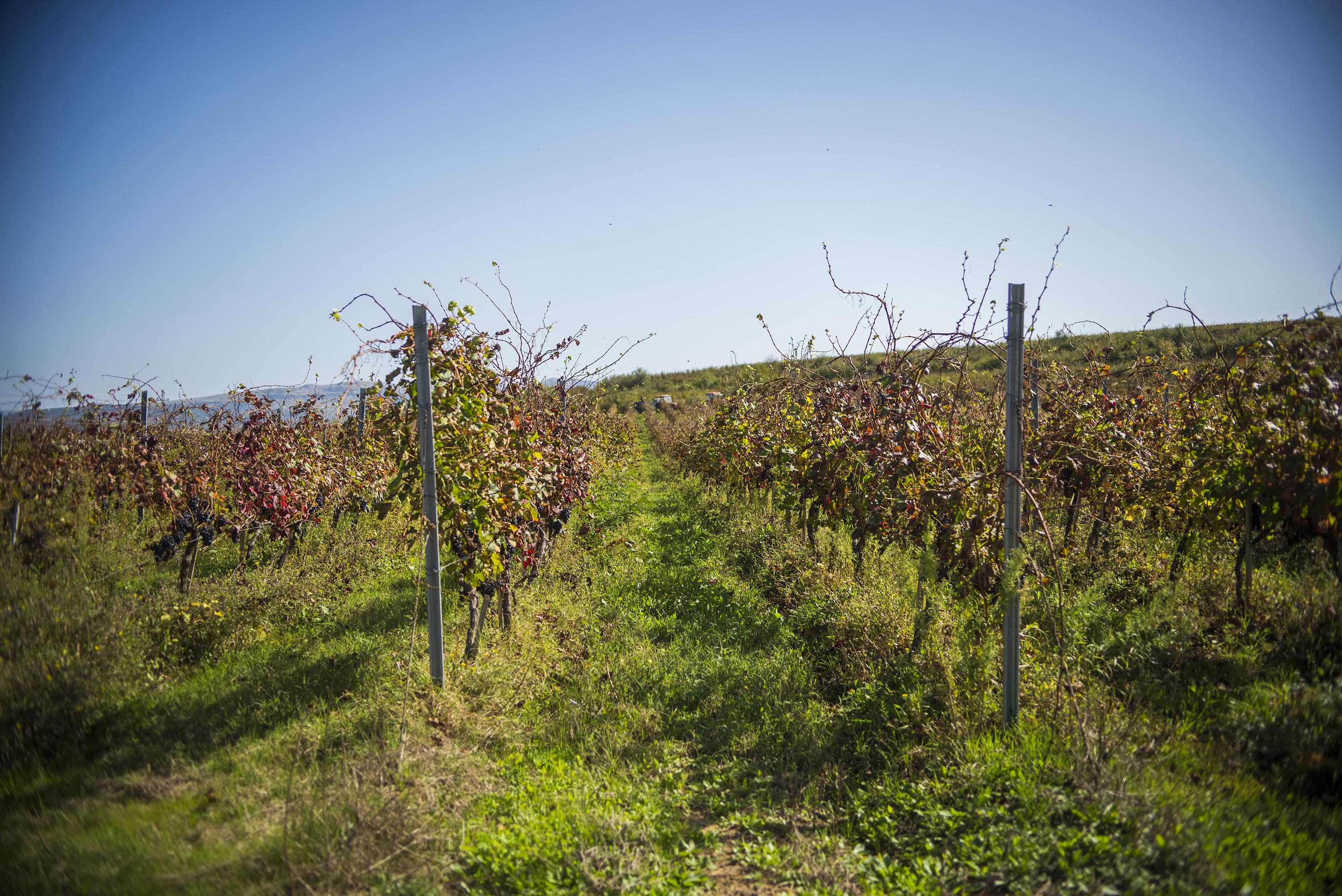 Arhivska fotografija