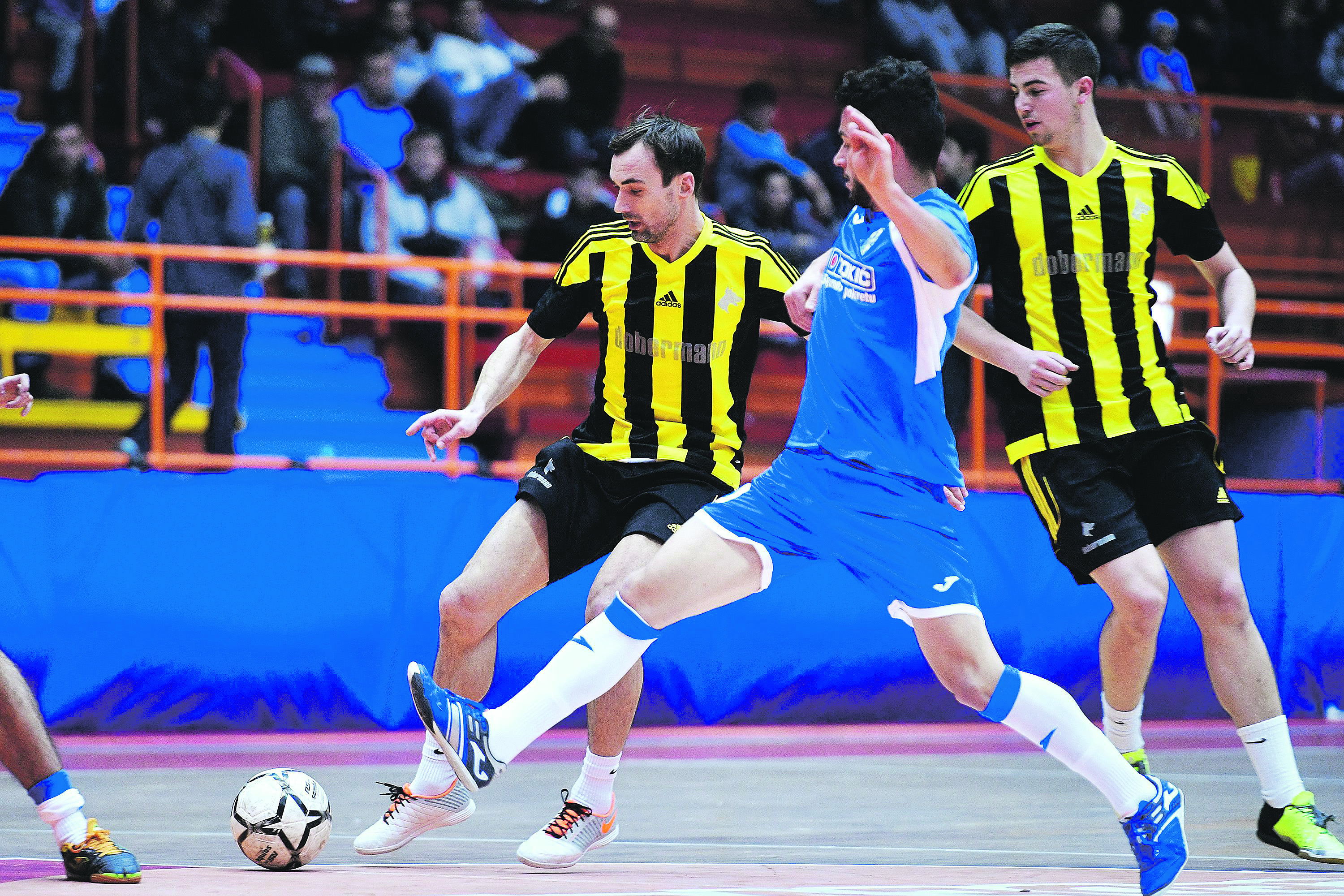 dobermann_tokic4-111216_copy