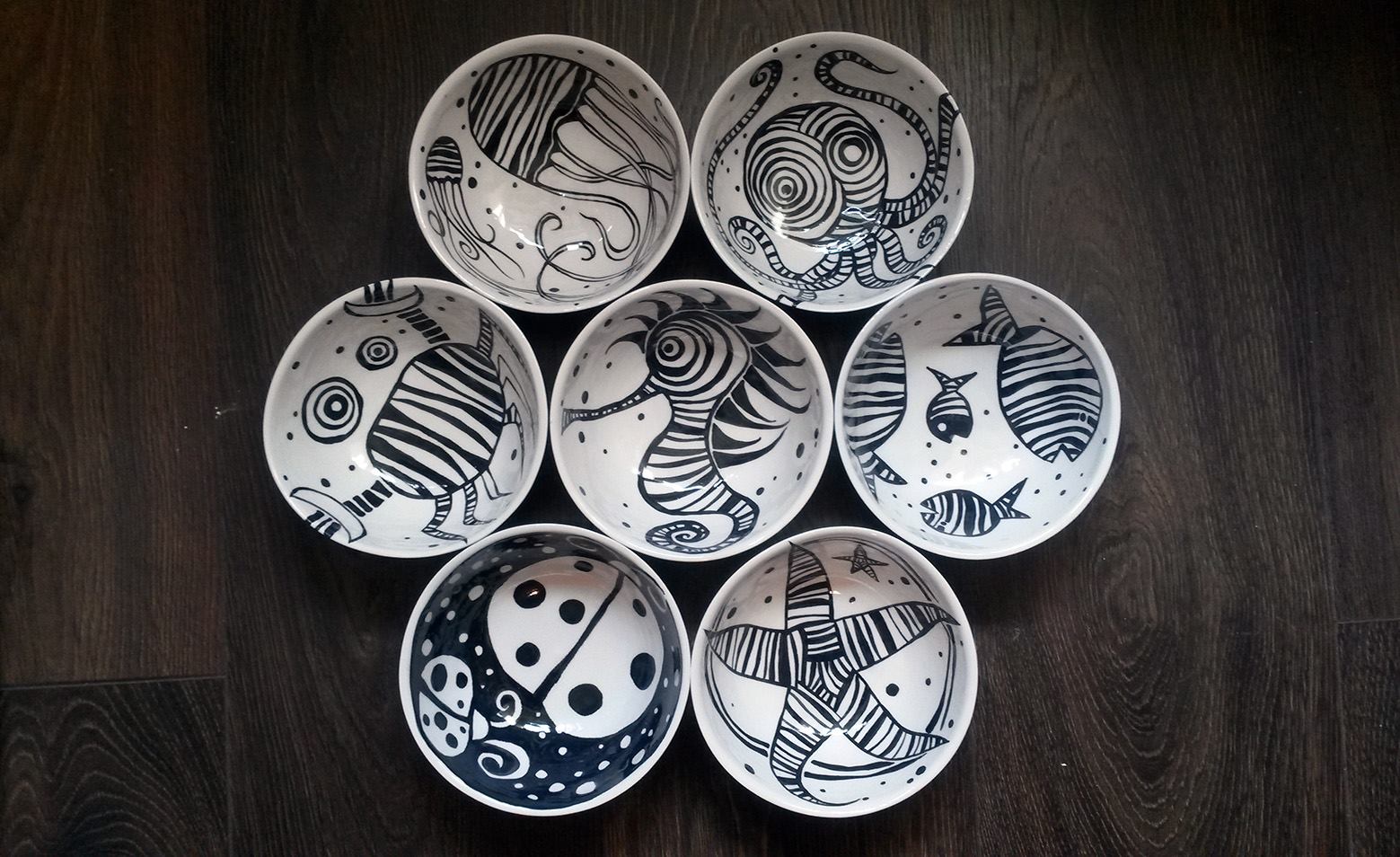 15578128_1248909358501828_3575771991019285227_o