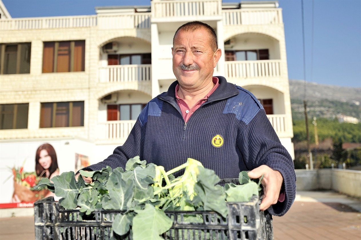 jovanovic_podstrana8-291215