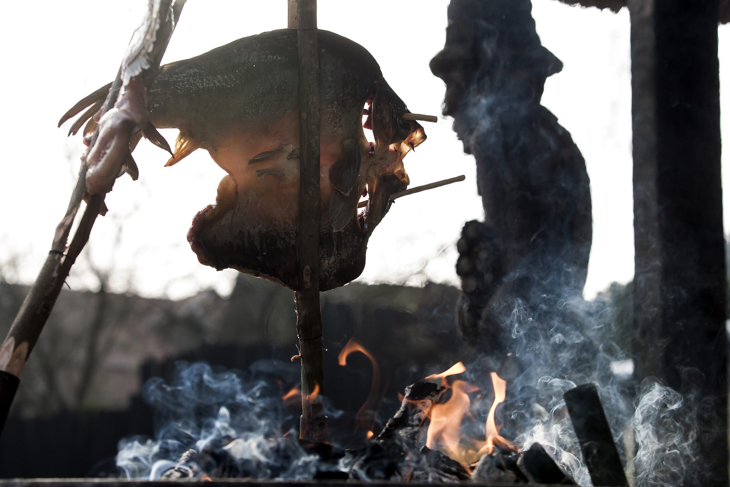 kopacevo_riba35-251116