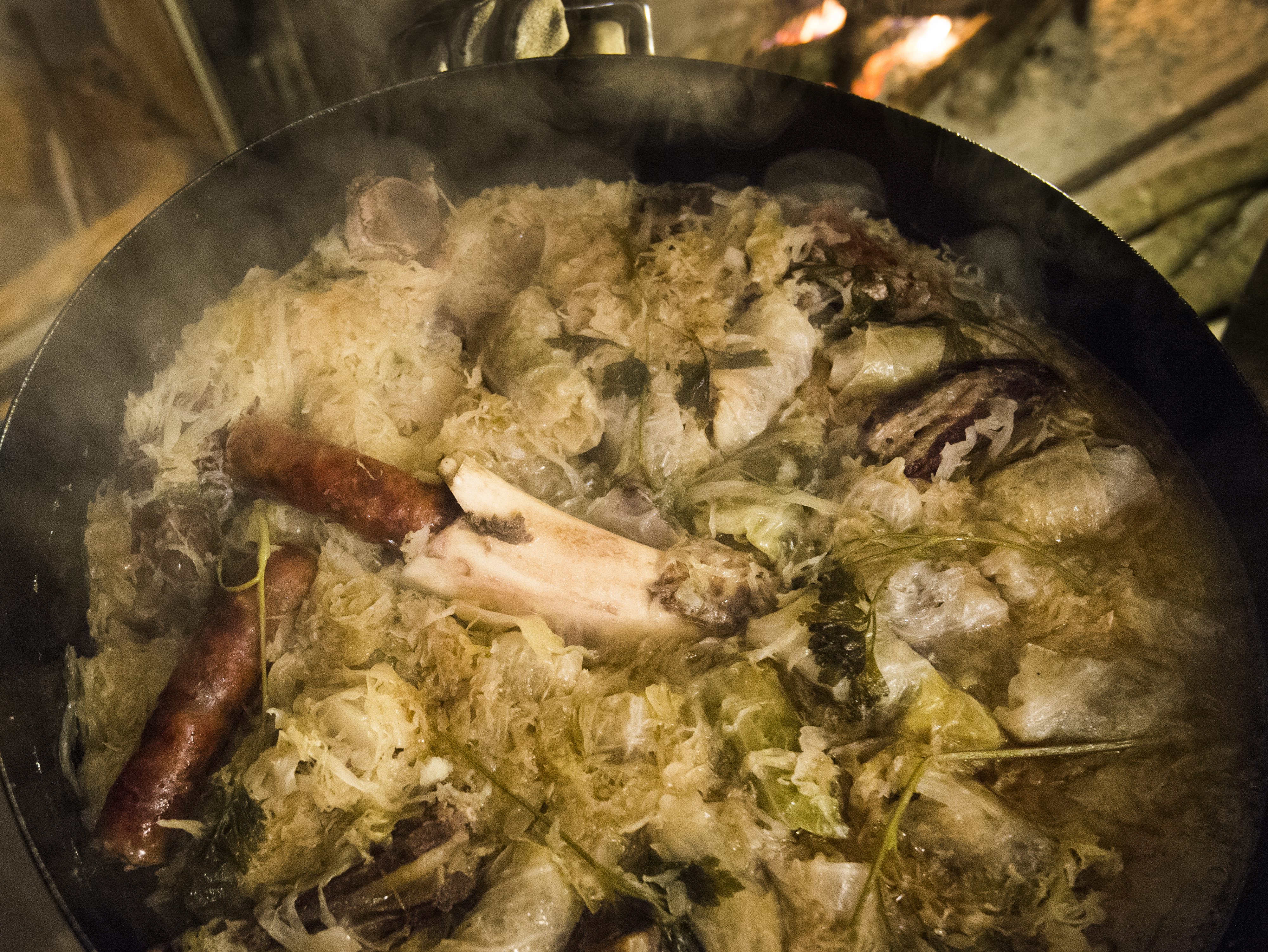 zmire_susnjara44-051216 (1)