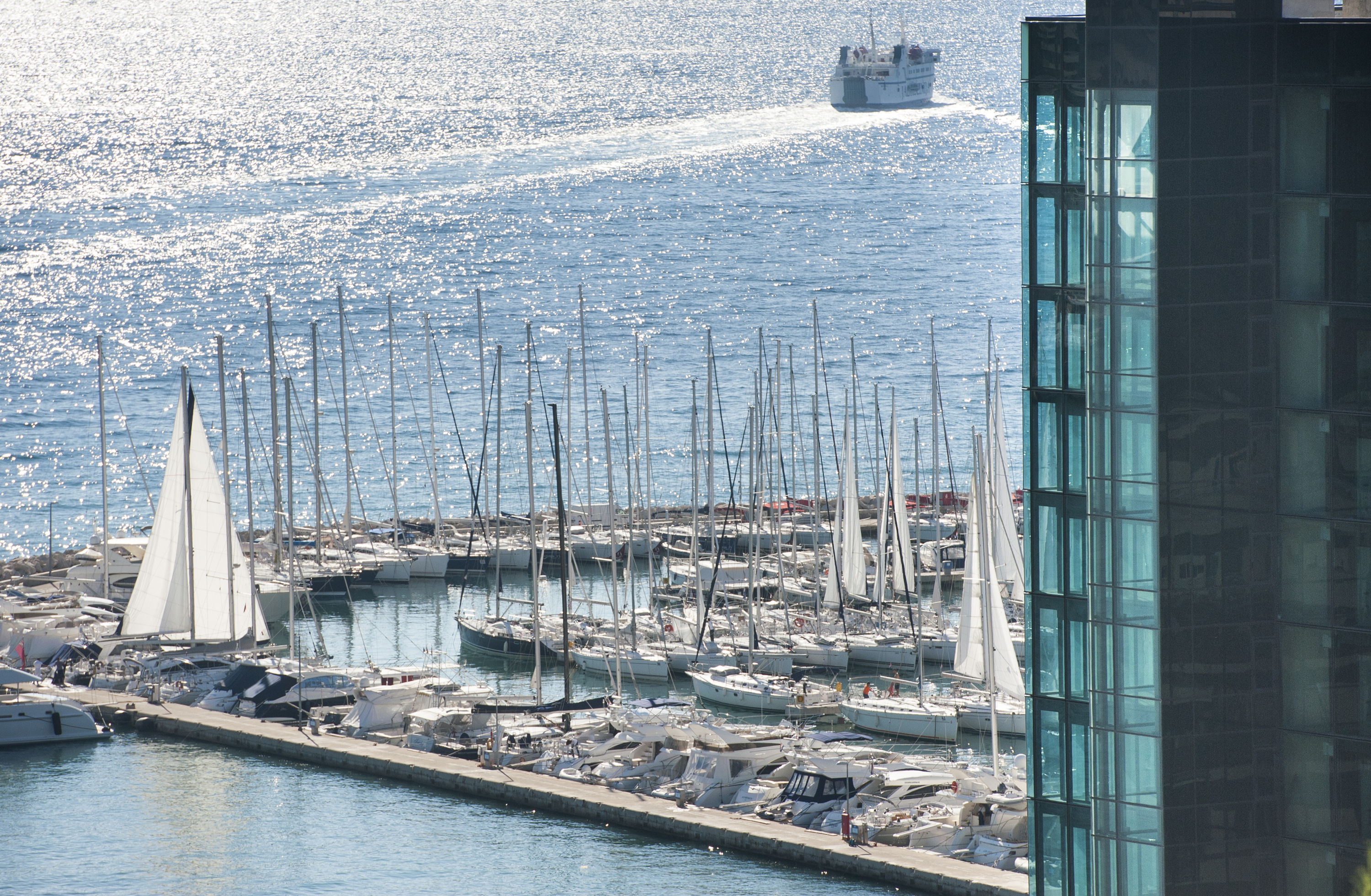 split_marjan7-271014